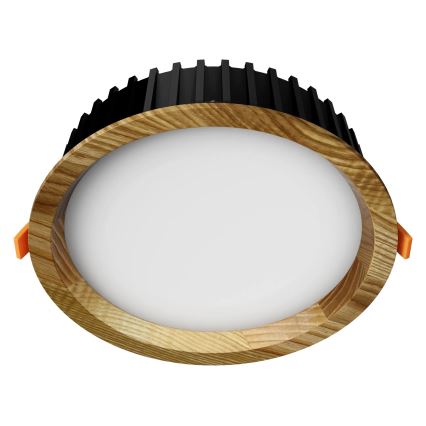 APLED - LED upotettava valo RONDO WOODLINE LED/12W/230V 3000K halkaisija 20 cm tuhka massiivipuu