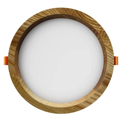 APLED - LED upotettava valo RONDO WOODLINE LED/12W/230V 3000K halkaisija 20 cm tuhka massiivipuu