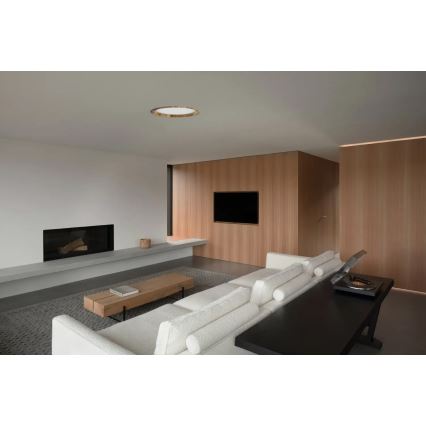 APLED - LED upotettava valo RONDO WOODLINE LED/18W/230V 3000K halkaisija 26 cm tuhka massiivipuu