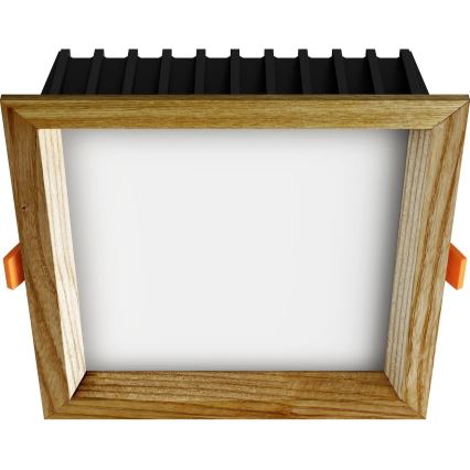 APLED - LED upotettava valo SQUARE WOODLINE LED/12W/230V 3000K 17x17 cm tuhka massiivipuu