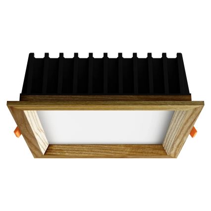 APLED - LED upotettava valo SQUARE WOODLINE LED/12W/230V 3000K 17x17 cm tuhka massiivipuu