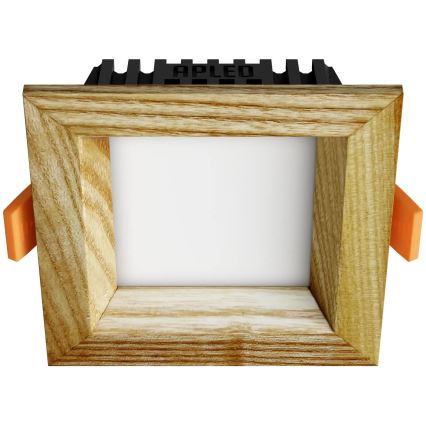 APLED - LED upotettava valo SQUARE WOODLINE LED/3W/230V 4000K 9x9 cm tuhka massiivipuu