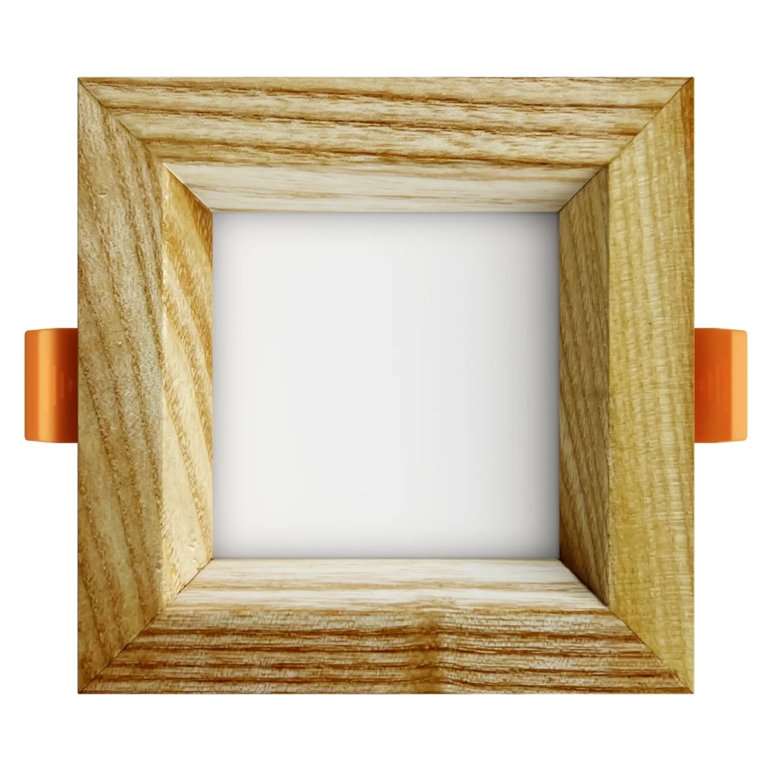 APLED - LED upotettava valo SQUARE WOODLINE LED/3W/230V 4000K 9x9 cm tuhka massiivipuu