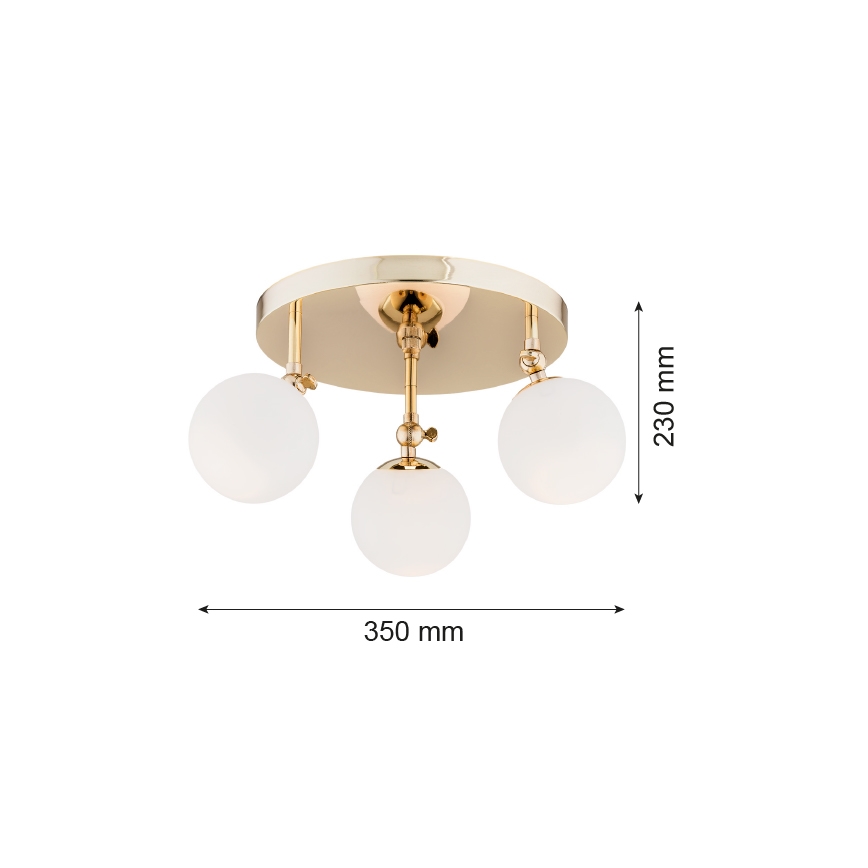 Argon 1435 - Kylpyhuoneen kiinteä kattokruunu LATINA 3xE14/40W/230V IP44
