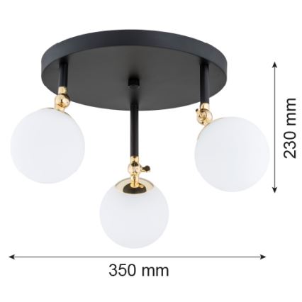Argon 1436 - Kylpyhuoneen kiinteä kattokruunu LATINA 3xE14/40W/230V IP44