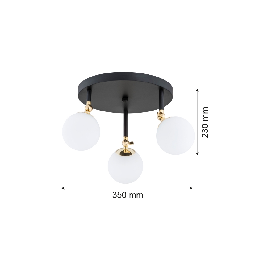 Argon 1436 - Kylpyhuoneen kiinteä kattokruunu LATINA 3xE14/40W/230V IP44