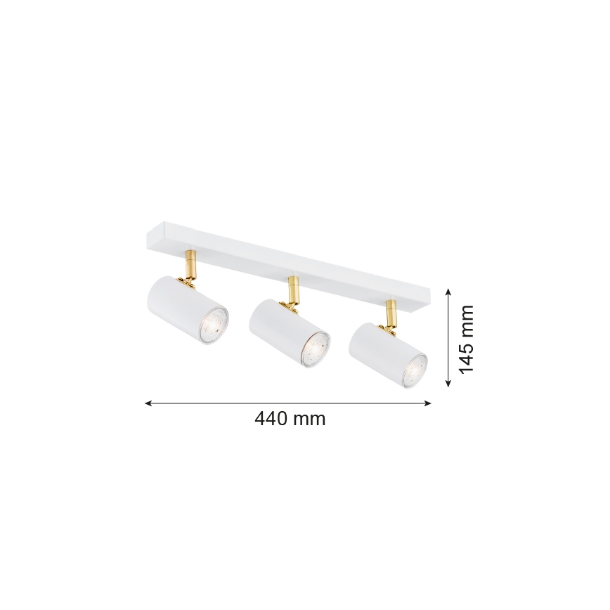 Argon 1475 - Kohdevalo LAGOS 3xGU10/5W/230V valkoinen/kultainen