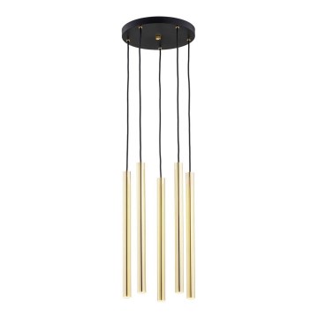 Argon 2109 - LED-kattokruunu johdossa SICILIA 5xLED/4,5W/230V