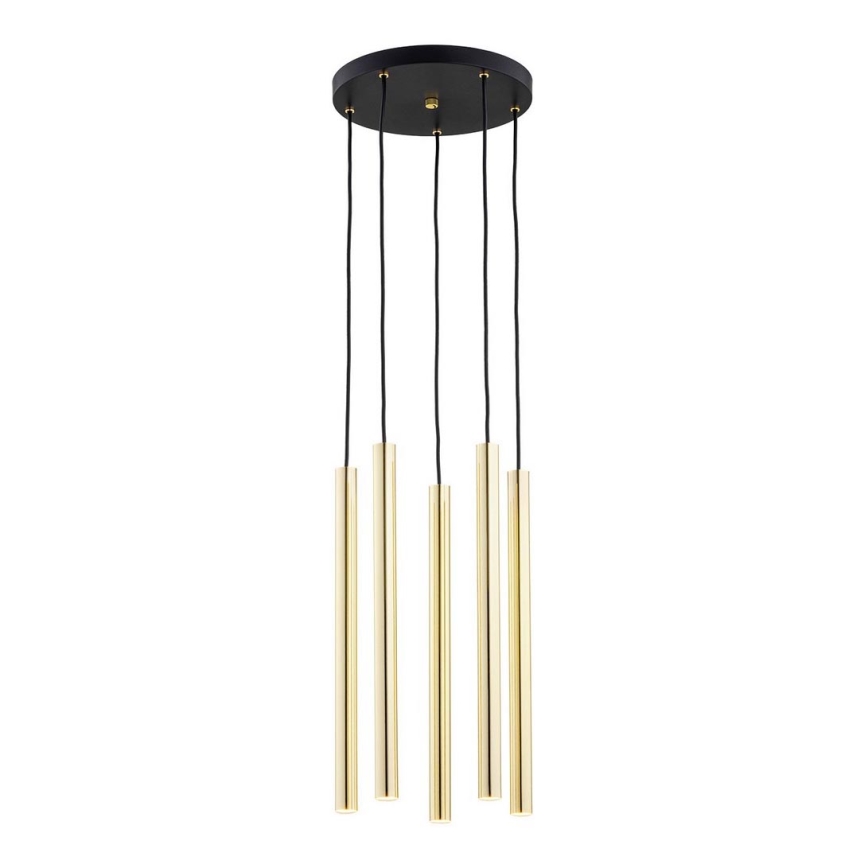 Argon 2109 - LED-kattokruunu johdossa SICILIA 5xLED/4,5W/230V