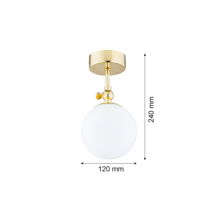 Argon 4001 - Kylpyhuoneen kiinteä kattokruunu LATINA 1xE14/40W/230V IP44