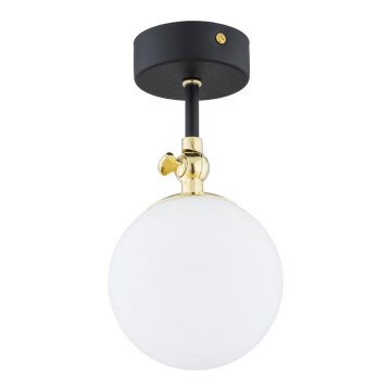 Argon 4003 - Kylpyhuoneen kiinteä kattokruunu LATINA 1xE14/7W/230V IP44 musta/messinki