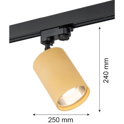 Argon 4304 - Kohdevalo kiskojärjestelmään BERGEN 1xE27/15W/230V kulta