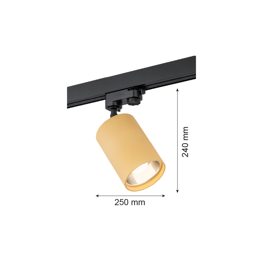 Argon 4304 - Kohdevalo kiskojärjestelmään BERGEN 1xE27/15W/230V kulta