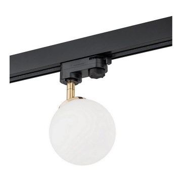 Argon 4307 - Kohdevalo kiskojärjestelmään BANG 1xG9/6W/230V messinki