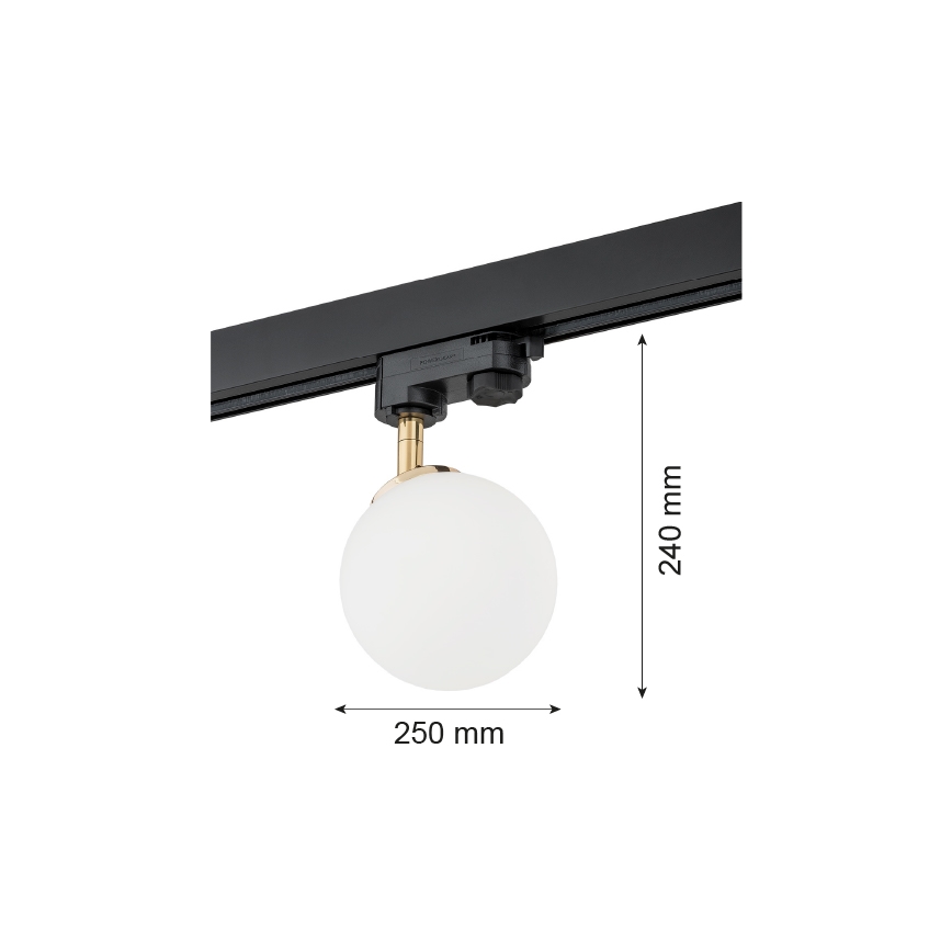 Argon 4307 - Kohdevalo kiskojärjestelmään BANG 1xG9/6W/230V messinki