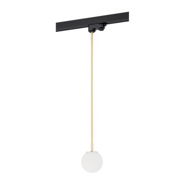 Argon 4308 - Kattokruunu tangossa kiskojärjestelmään BANG 1xG9/6W/230V messinki