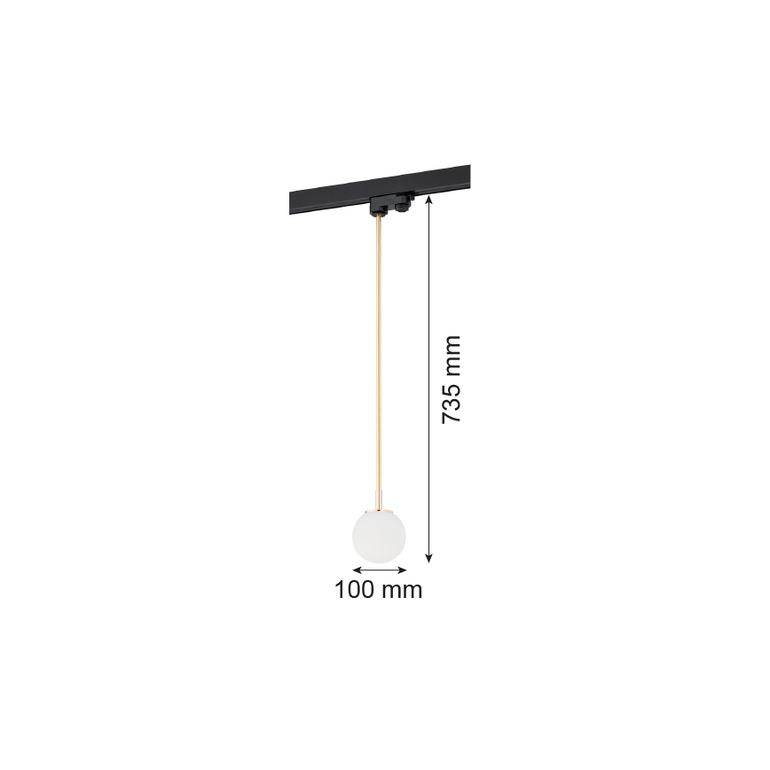 Argon 4308 - Kattokruunu tangossa kiskojärjestelmään BANG 1xG9/6W/230V messinki