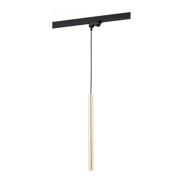Argon 4319 - LED-kattokruunu narussa kiskojärjestelmään ELBRUS LED/4,5W/230V messinki