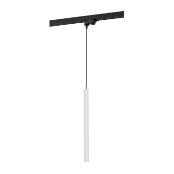 Argon 4330 - LED-kattokruunu johdossa kiskojärjestelmään ELBRUS LED/4,5W/230V valkoinen