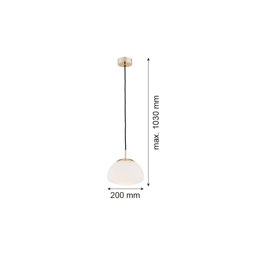 Argon 4352 - Kattokruunu johdossa TRINI 1xE27/15W/230V d. 20 cm kulta