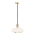 Argon 4358 - Kattokruunu johdossa SAGUNTO 1xE27/15W/230V halkaisija 30 cm messinki