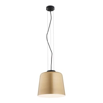Argon 4690 - Kattokruunu johdossa BERKLEY 1xE27/15W/230V