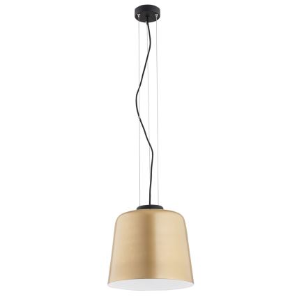Argon 4690 - Kattokruunu johdossa BERKLEY 1xE27/15W/230V
