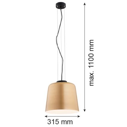 Argon 4690 - Kattokruunu johdossa BERKLEY 1xE27/15W/230V