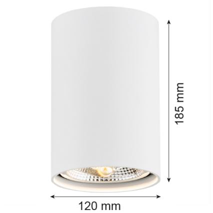 Argon 4910 - Kohdevalo TUBO AR111 1xGU10/15W/230V valkoinen