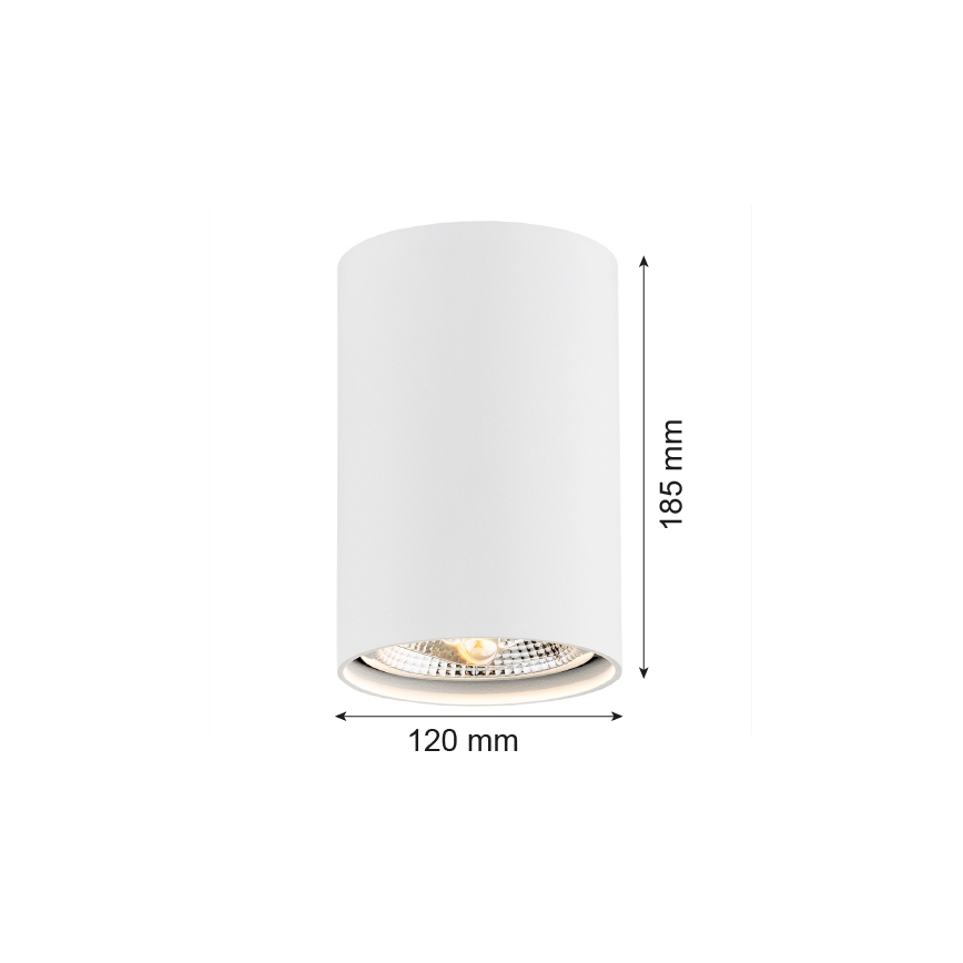 Argon 4910 - Kohdevalo TUBO AR111 1xGU10/15W/230V valkoinen
