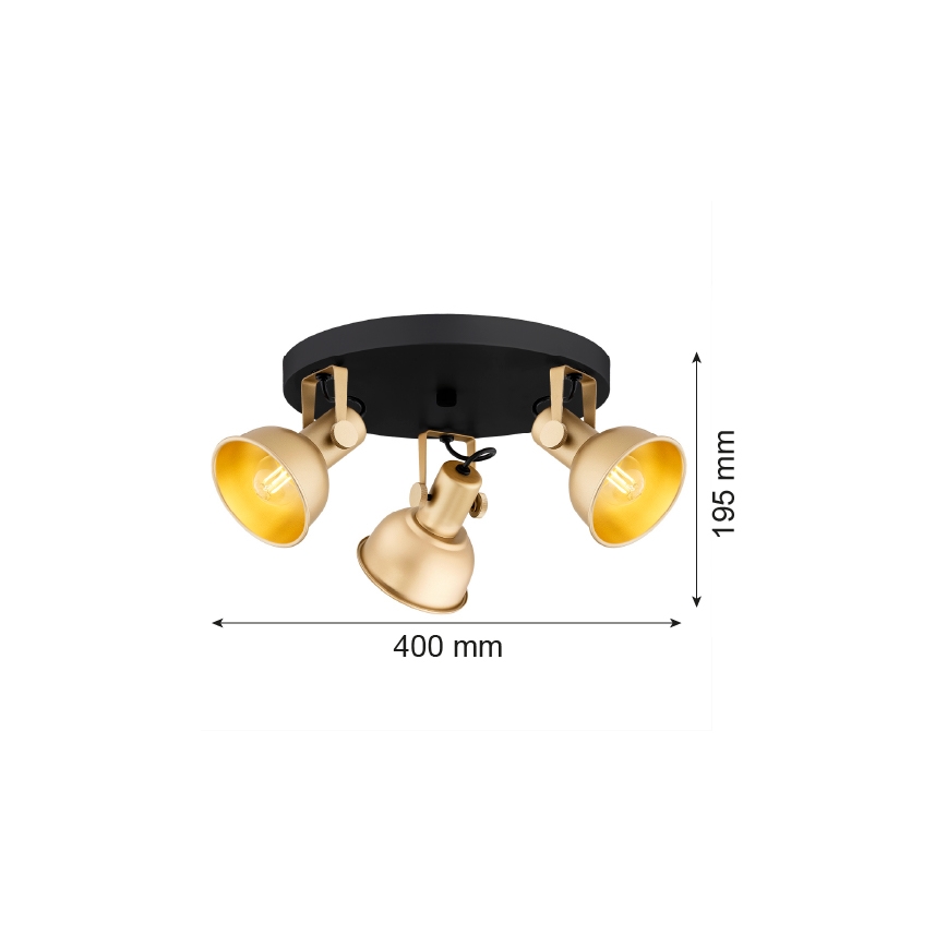 Argon 6243 - Kohdevalo LENORA 3xE14/7W/230V kulta/musta