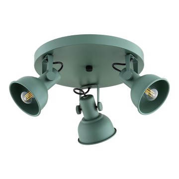 Argon 6265 - Kohdevalo LENORA 3xE14/7W/230V vihreä