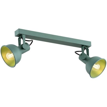 Argon 7174 - Kohdevalo LENORA 2xE14/7W/230V vihreä
