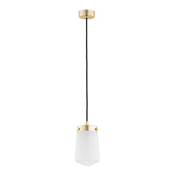 Argon 8004 - Kattokruunu johdossa PASADENA 1xE27/15W/230V kultainen/valkoinen