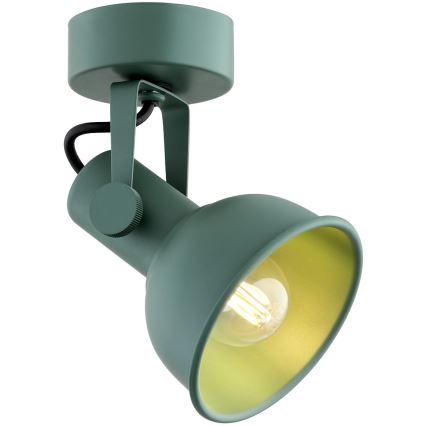Argon 8299 - Kohdevalo LENORA 1xE14/7W/230V vihreä
