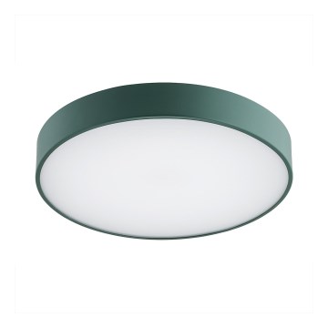 Argon 8335 - LED-kattovalaisin TIAMO LED/22W/230V 4000K vihreä