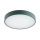 Argon 8335 - LED-kattovalaisin TIAMO LED/22W/230V 4000K vihreä