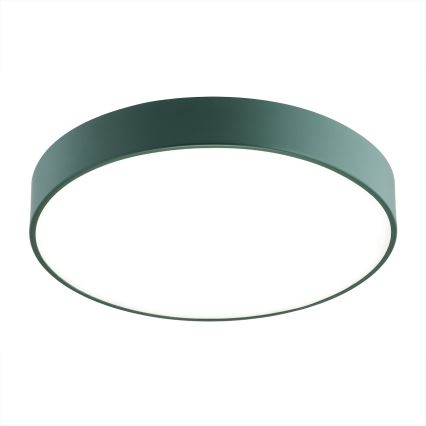 Argon 8335 - LED-kattovalaisin TIAMO LED/22W/230V 4000K vihreä