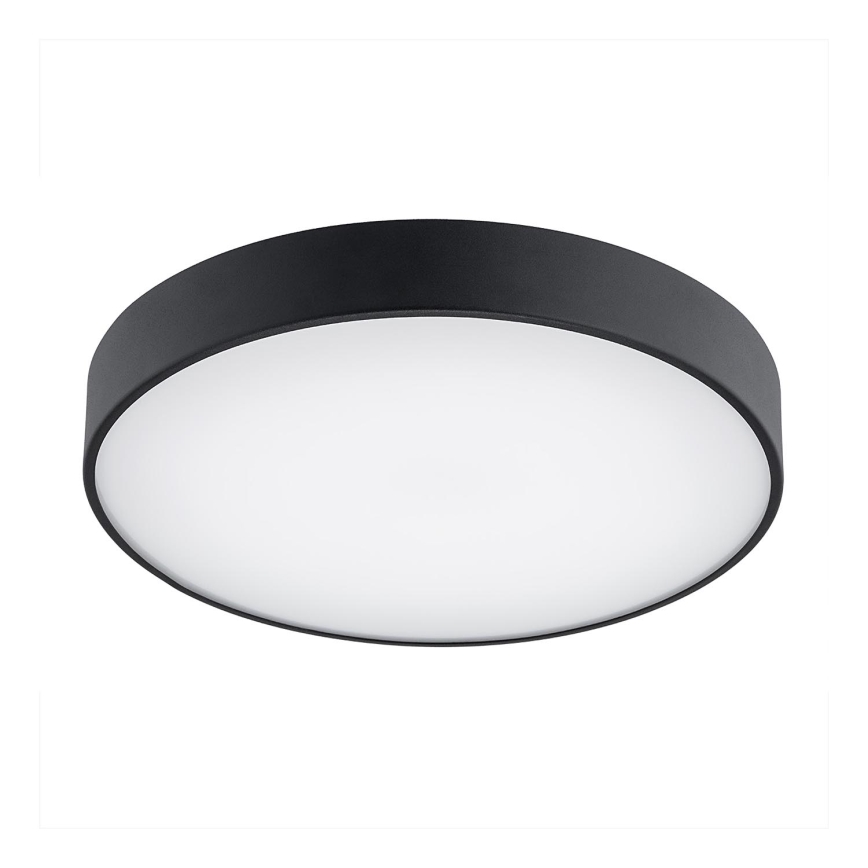 Argon 8348 - LED-kattovalaisin TIAMO LED/22W/230V 4000K musta
