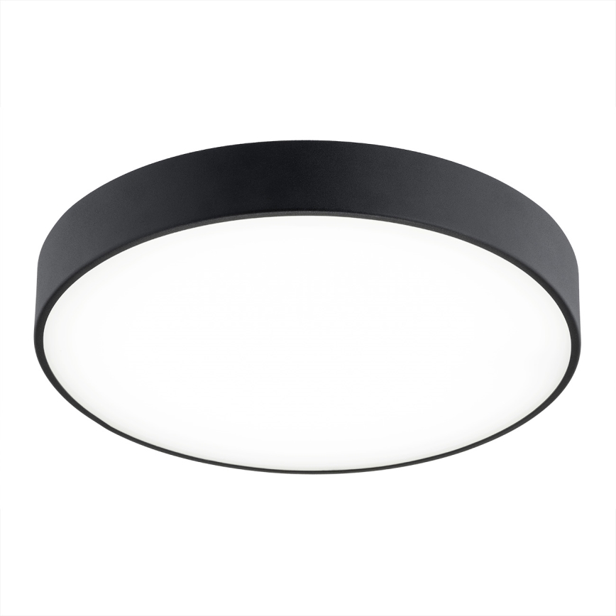 Argon 8348 - LED-kattovalaisin TIAMO LED/22W/230V 4000K musta