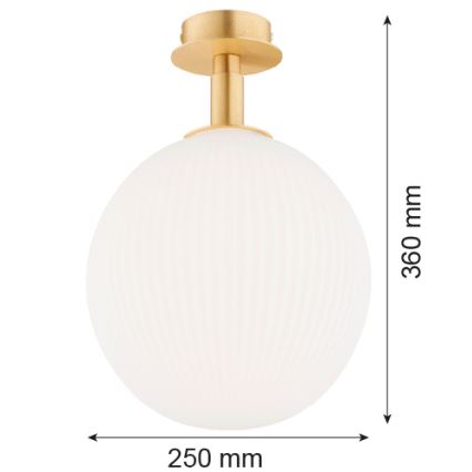 Argon 8505 - Kattovalo PALOMA 1xE27/15W/230V kulta/valkoinen