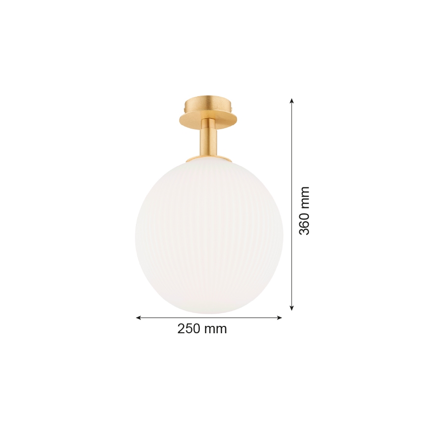 Argon 8505 - Kattovalo PALOMA 1xE27/15W/230V kulta/valkoinen