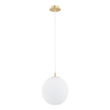 Argon 8507 - Kattokruunu johdossa PALOMA 1xE27/15W/230V halkaisija 25 cm kulta/valkoinen