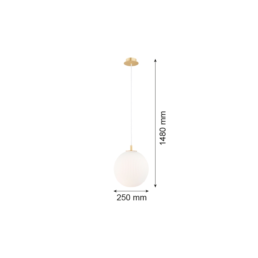 Argon 8507 - Kattokruunu johdossa PALOMA 1xE27/15W/230V halkaisija 25 cm kulta/valkoinen
