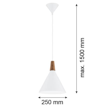 Argon 8630 - Kattokruunu johdossa KEGEL 1xE27/15W/230V valkoinen