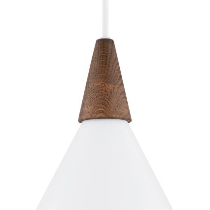 Argon 8631 - Kattokruunu johdossa KEGEL 1xE27/15W/230V valkoinen