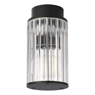 Argon 8773 - Ulkokattovalo NORFOLK 1xE27/15W/230V IP44 musta