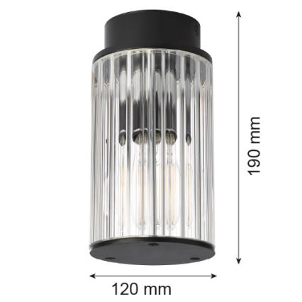 Argon 8773 - Ulkokattovalo NORFOLK 1xE27/15W/230V IP44 musta