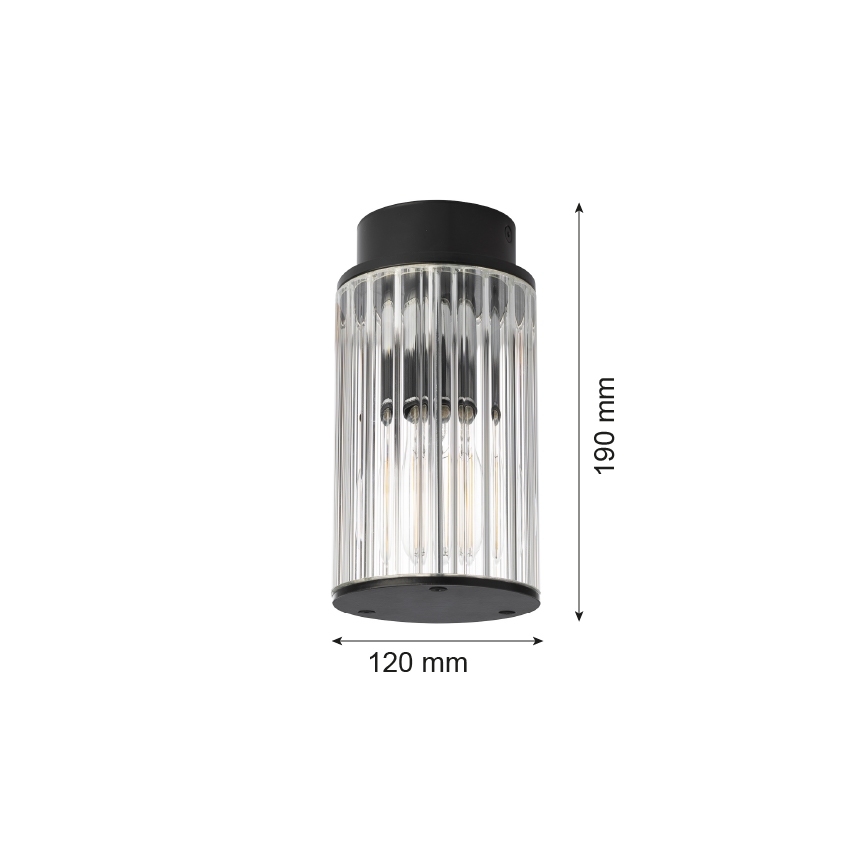 Argon 8773 - Ulkokattovalo NORFOLK 1xE27/15W/230V IP44 musta