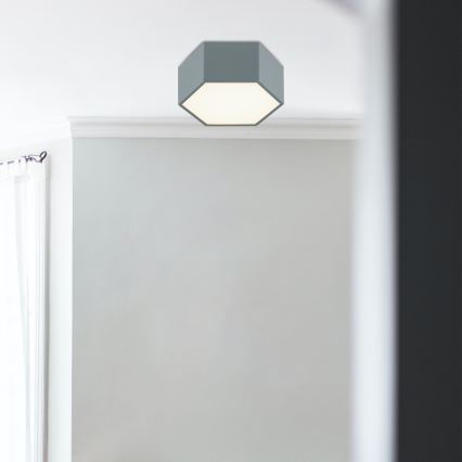 Argon 8784 - LED-kattovalaisin LIBERO LED/12W/230V 3000K harmaa